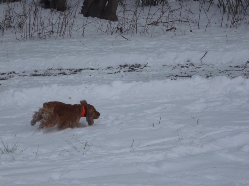 hon_konopiste (56).jpg